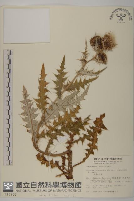 細川氏薊藏品圖，第1張