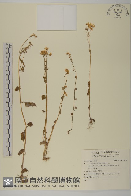 登錄號:S140018藏品圖，第1張