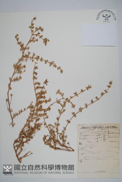 登錄號:S093718藏品圖，第1張