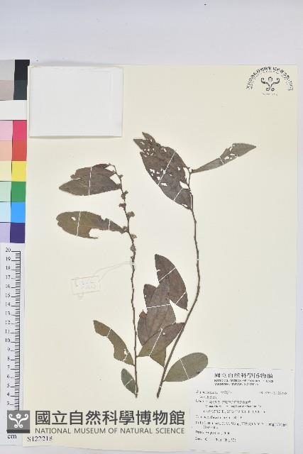 登錄號:S122218藏品圖，第1張