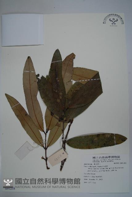 登錄號:S091218藏品圖，第1張