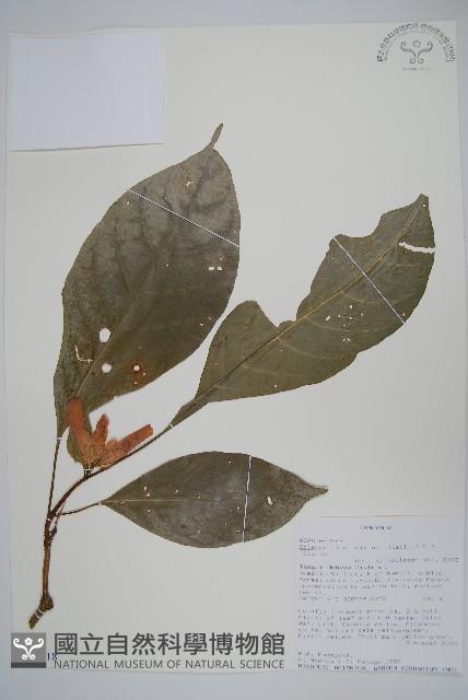 登錄號:S096418藏品圖，第1張