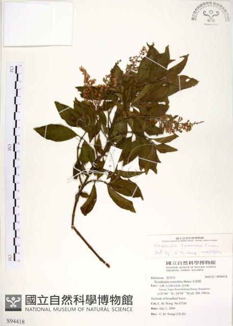 水金京藏品圖，第1張