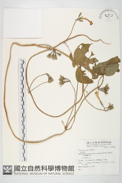 登錄號:S074418藏品圖，第1張