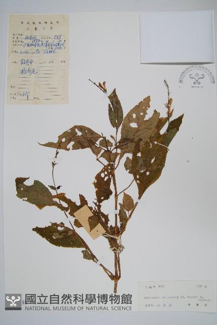 Accession Number:S044118 Collection Image, Figure 1, Total 2 Figures