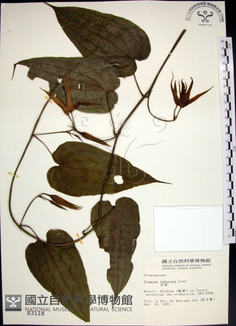 百部藏品圖，第1張