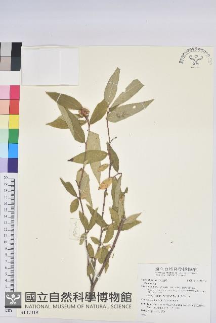 登錄號:S132318藏品圖，第1張