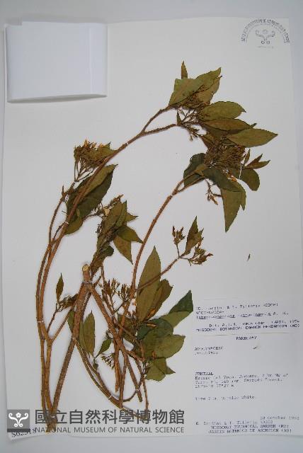 登錄號:S062318藏品圖，第1張