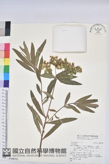 登錄號:S180318藏品圖，第1張