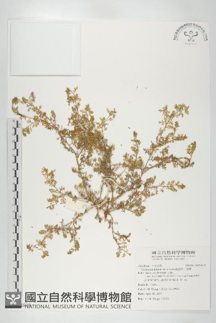 Accession Number:S124818 Collection Image, Figure 1, Total 2 Figures