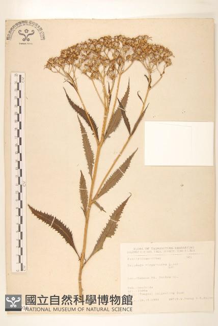 登錄號:S066918藏品圖，第1張