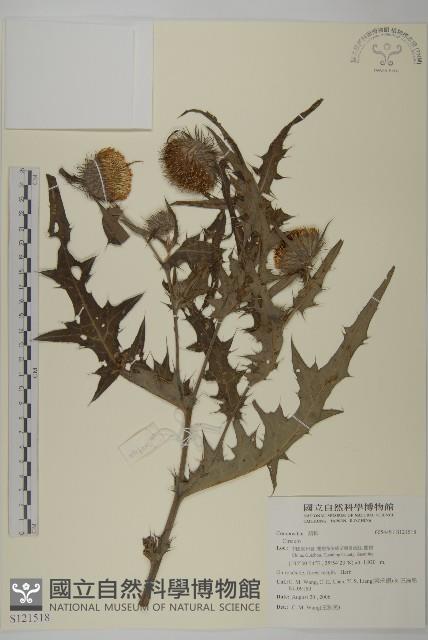 登錄號:S121518藏品圖，第1張