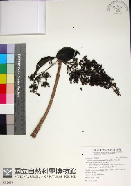 咬人狗藏品圖，第1張