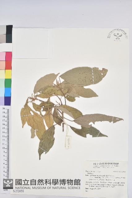 登錄號:S152058藏品圖，第1張