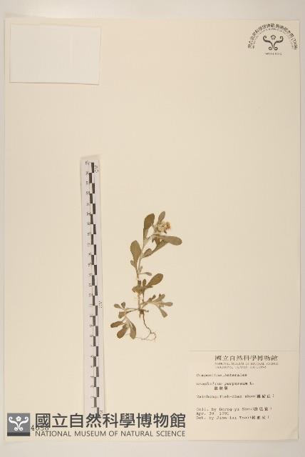 Accession Number:S004058 Collection Image, Figure 1, Total 2 Figures