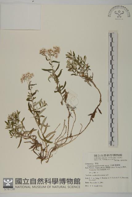 Accession Number:S076758 Collection Image, Figure 1, Total 2 Figures