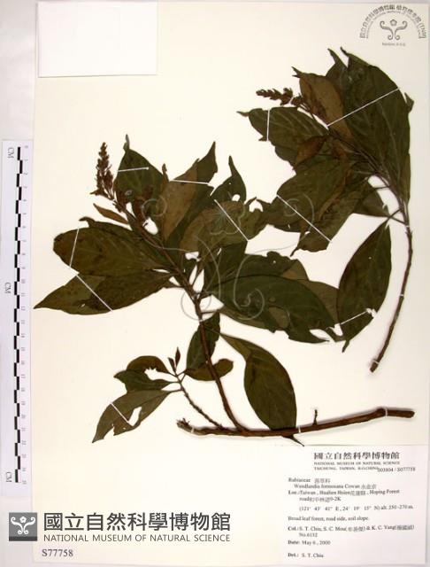 水金京藏品圖，第1張