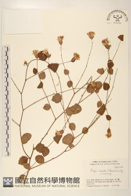 登錄號:S051258藏品圖，第1張