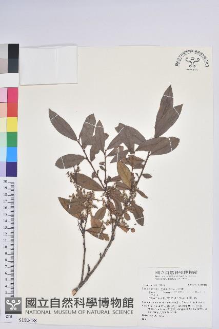 登錄號:S180458藏品圖，第1張