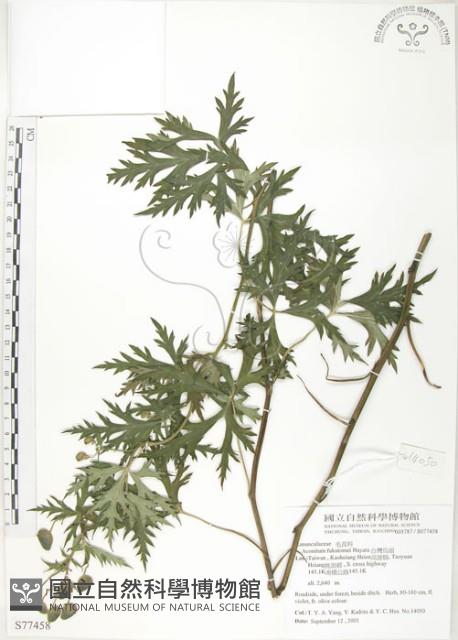 Accession Number:S077458 Collection Image, Figure 1, Total 2 Figures