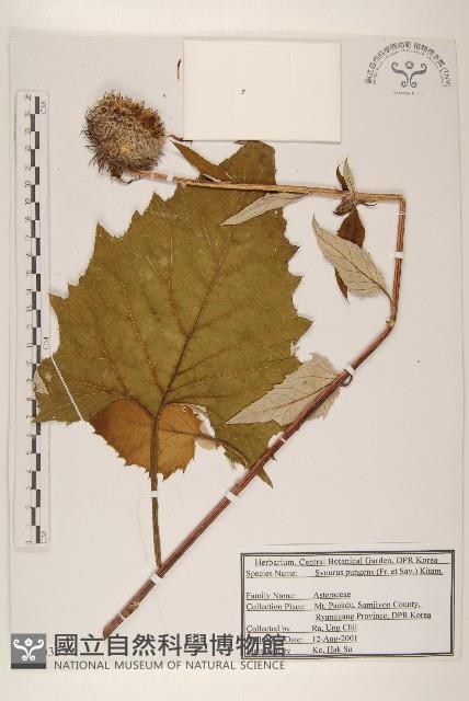 登錄號:S120358藏品圖，第1張