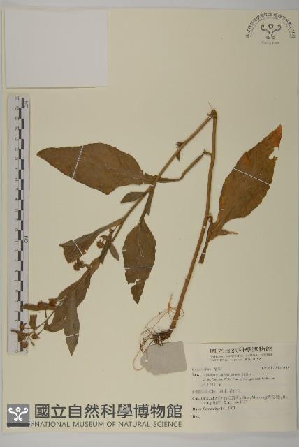 登錄號:S140358藏品圖，第1張