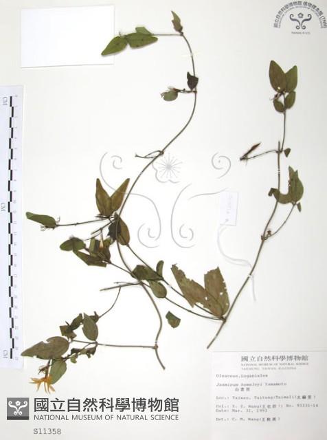 山素英藏品圖，第1張