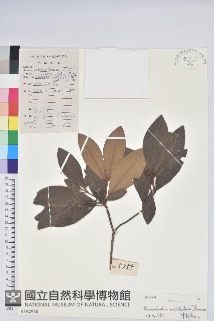 登錄號:S102958藏品圖，第1張