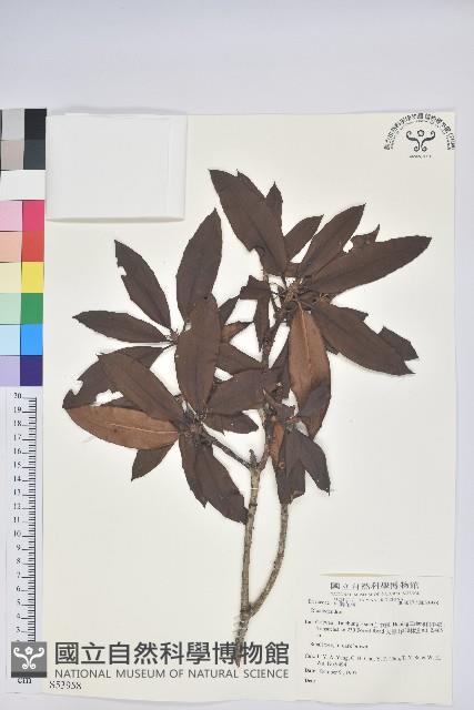 登錄號:S053958藏品圖，第1張