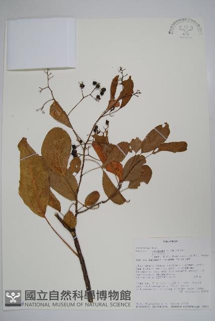 登錄號:S097558藏品圖，第1張