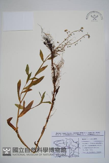 登錄號:S077558藏品圖，第1張