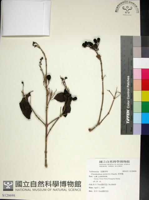 苦林盤藏品圖，第1張