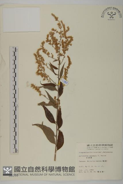 Accession Number:S006098 Collection Image, Figure 1, Total 2 Figures