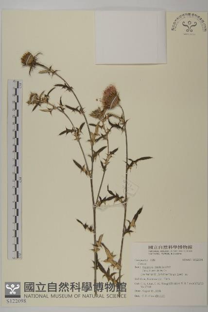 登錄號:S122098藏品圖，第1張