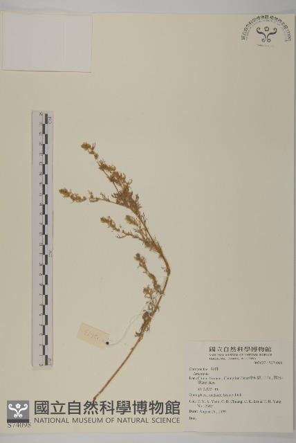 登錄號:S074098藏品圖，第1張