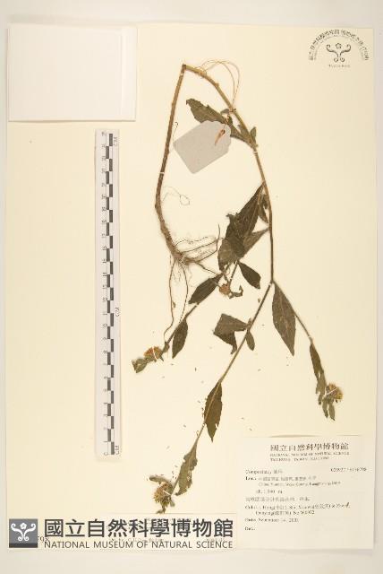 登錄號:S136798藏品圖，第1張