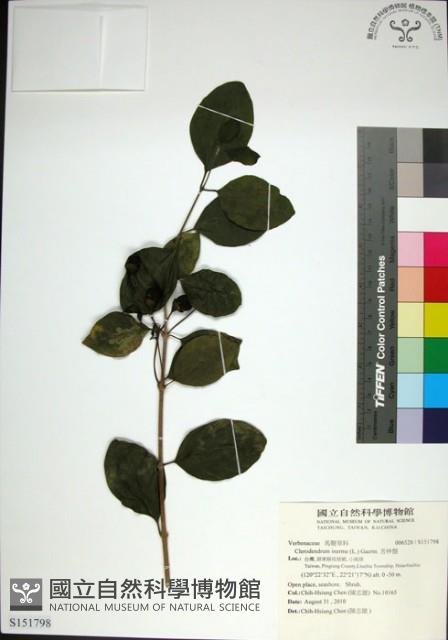 苦林盤藏品圖，第1張