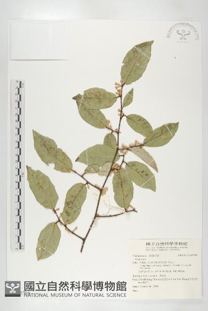 登錄號:S145798藏品圖，第1張