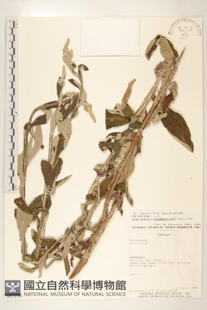 登錄號:S062298藏品圖，第1張