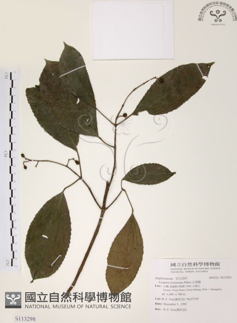 山香圓藏品圖，第1張