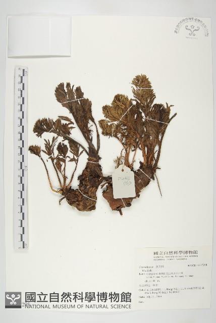 登錄號:S137298藏品圖，第1張