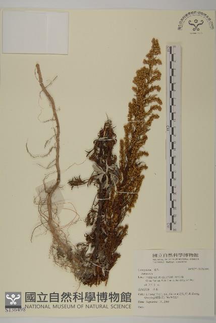 登錄號:S136498藏品圖，第1張