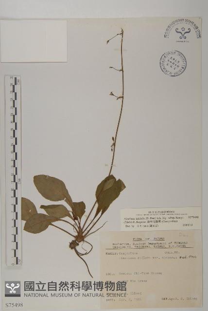 臺灣鬼督郵藏品圖，第1張