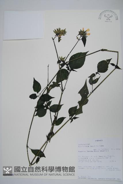 登錄號:S094198藏品圖，第1張