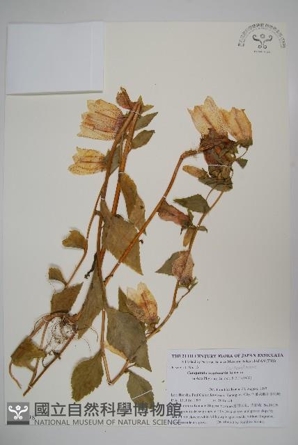 登錄號:S111398藏品圖，第1張