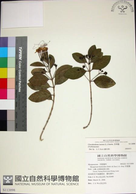 苦林盤藏品圖，第1張