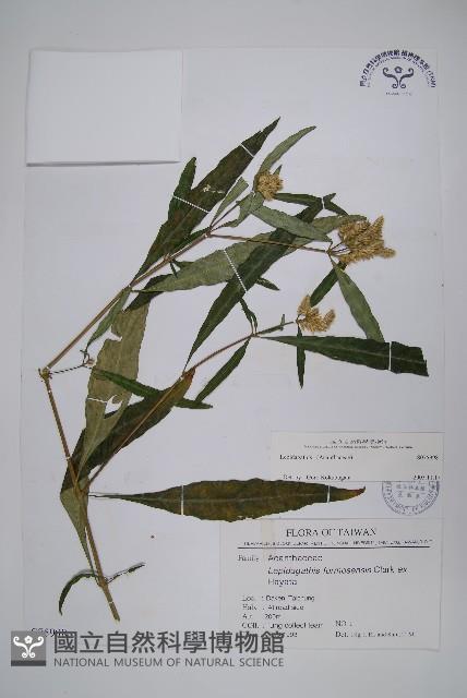 登錄號:S075998藏品圖，第1張