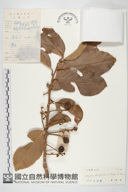 九來龍藏品圖，第1張