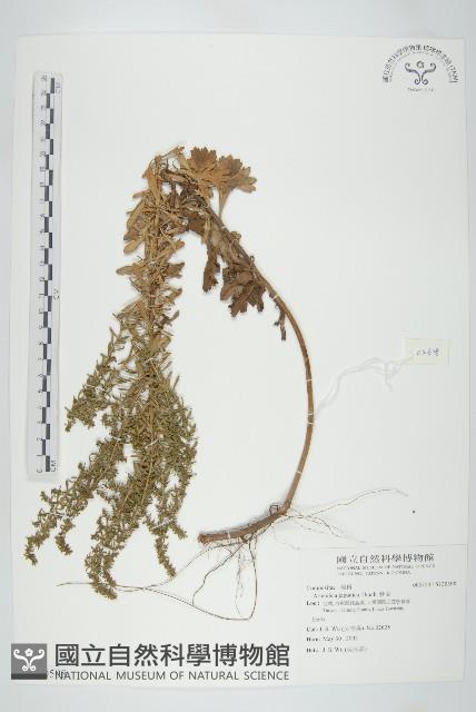 Accession Number:S130598 Collection Image, Figure 1, Total 2 Figures