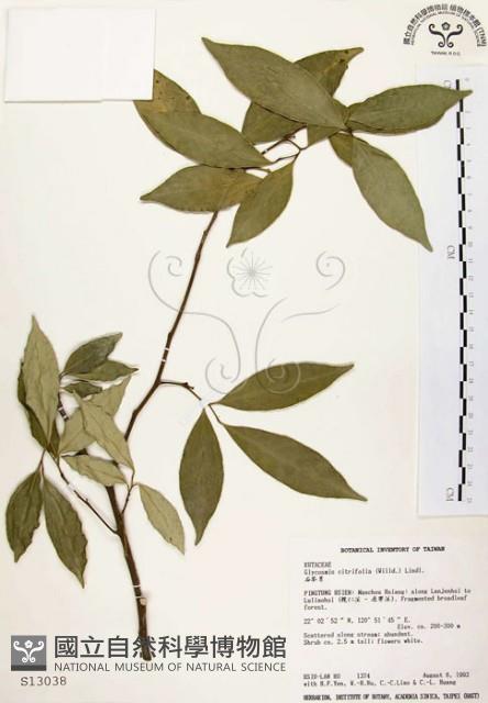 石苓舅藏品圖，第1張